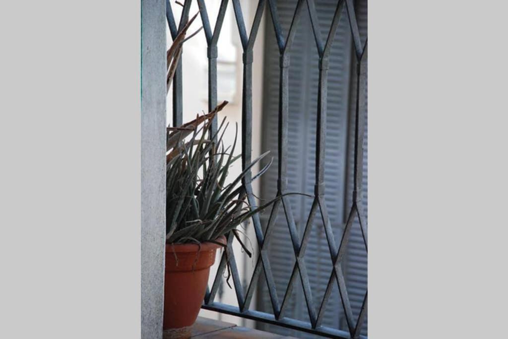 Apartamento Centro Encarnacion 2º I Leilighet Sevilla Eksteriør bilde